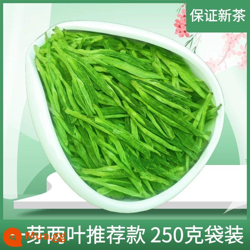 Trà Longjing 2022 trà mới trước khi mưa trà xanh loại thơm mạnh Hàng Châu khẩu phần lớn đích thực trà xuân 250g tự uống - 249g