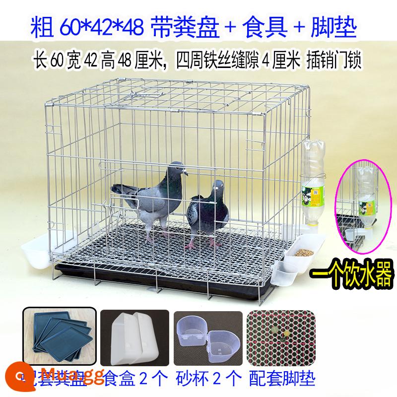 Pigeon lồng lồng sinh sản chim bồ câu cặp lồng giải phóng mặt bằng lồng lớn lớn chăn nuôi chim bồ câu lồng miễn phí vận chuyển lồng chim bồ câu hộ gia đình - Khay đựng phân dày 60*42*48 + bộ đồ ăn + thảm lót chân