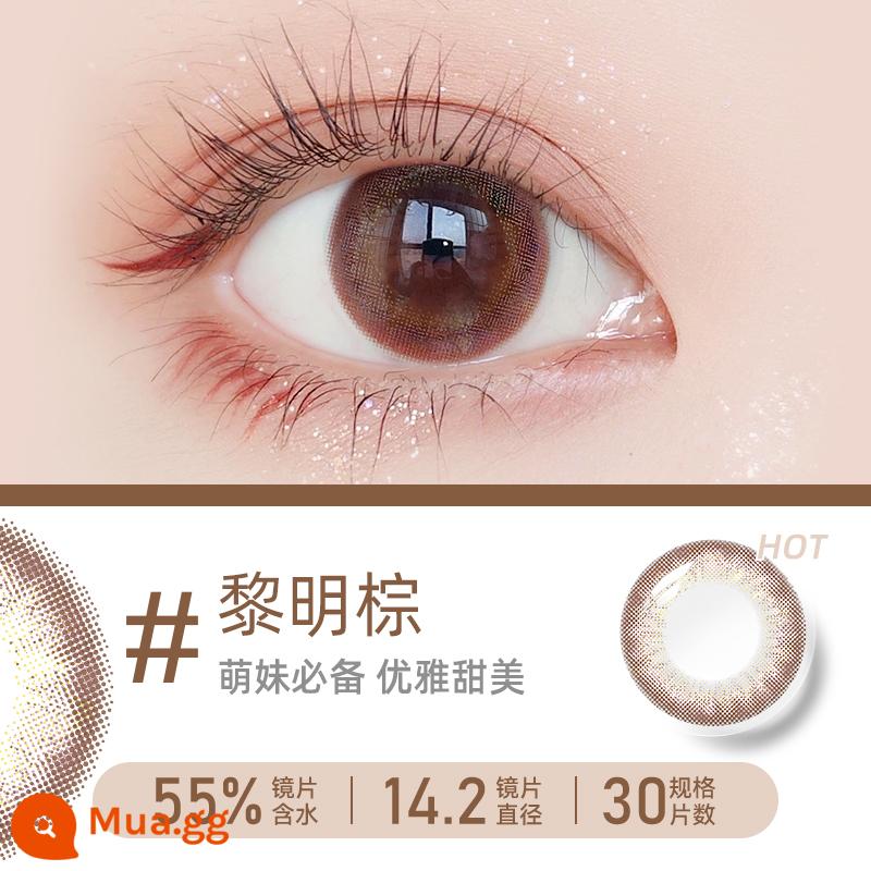 [Tự vận hành] Haichang Star Eye Color Kính áp tròng Xử lý hàng ngày 30 chiếc Kính áp tròng tự nhiên màu nâu Nữ Xử lý không hàng tháng Trang web chính thức Xác thực - [Dawn Brown] 30 viên - sản phẩm không thể thiếu của các cô nàng dễ thương