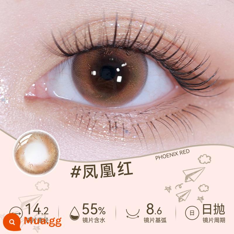 [Tự vận hành] Haichang Star Eye Color Kính áp tròng Xử lý hàng ngày 30 chiếc Kính áp tròng tự nhiên màu nâu Nữ Xử lý không hàng tháng Trang web chính thức Xác thực - [Phoenix Red] 30 viên - mắt nâu đỏ khí chất