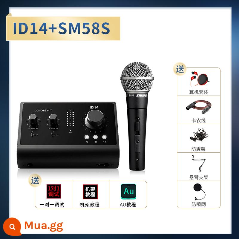 Audient/Orton ID4 ID14 MKII Ghi âm chuyên nghiệp Dubbing Truyền phát trực tiếp Thẻ âm thanh bên ngoài - iD14+SM58 (có công tắc)