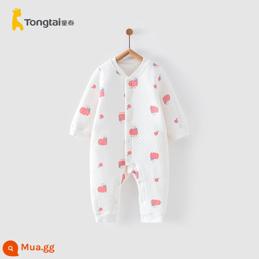 Tongtai mùa thu đông 0-6 tháng sơ sinh bé trai và bé gái quần áo trẻ em cotton mỏng bướm áo liền quần cotton nguyên chất dày dặn áo liền quần - Jumpsuit giữ nhiệt-Bí ngô hồng