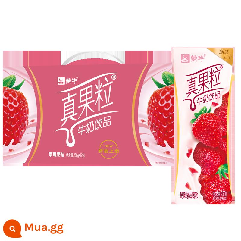 Sữa chua uống April Mengniu real fruit milk 250g*12 hộp nguyên hộp dâu việt quất đào vàng sữa ăn sáng cho học sinh - Hương dâu sản xuất tháng 9*1 hộp