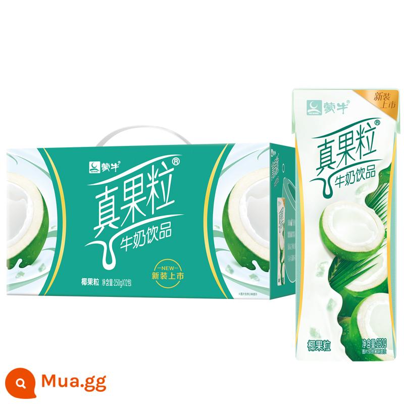 Sữa chua uống April Mengniu real fruit milk 250g*12 hộp nguyên hộp dâu việt quất đào vàng sữa ăn sáng cho học sinh - Hương dừa sản xuất tháng 6*1 hộp