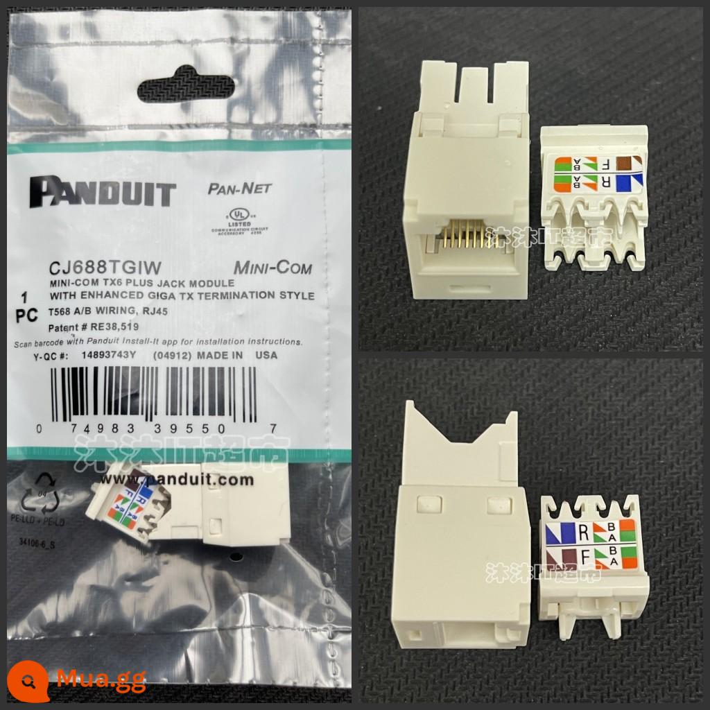 Panduit Panduit CJ5E88TGBU CJ5E88TGBU CJ5E88TGBU CJ5E88TGBU - Trắng - Mô-đun loại 6 CJ688TGIW