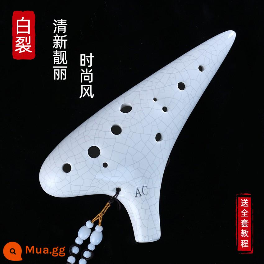 Ocarina 12 lỗ mới bắt đầu người mới bắt đầu alto C chỉnh 12 lỗ AC chuyên nghiệp gốm nhựa học sinh tiểu học 6 nhạc cụ - [Mẫu nóng AC 12 lỗ] Vết nứt trắng [được khuyến nghị cho những điều cơ bản]