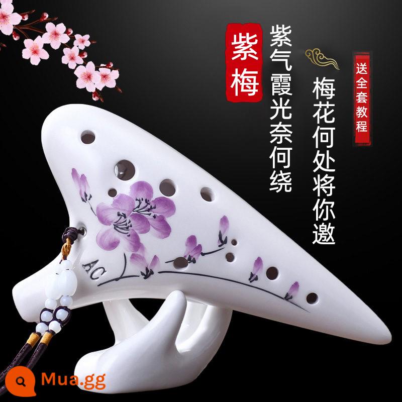 Ocarina 12 lỗ mới bắt đầu người mới bắt đầu alto C chỉnh 12 lỗ AC chuyên nghiệp gốm nhựa học sinh tiểu học 6 nhạc cụ - [Mẫu nóng AC 12 lỗ] Zimei [được khuyên dùng cho những điều cơ bản]