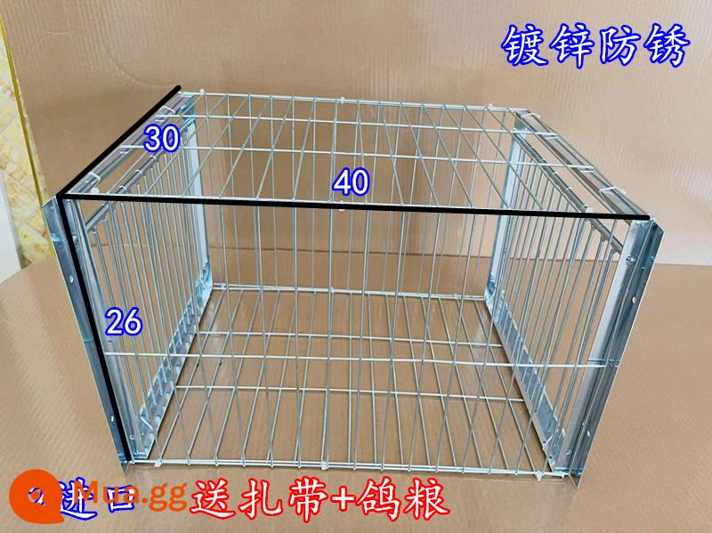 Bồ câu đập cửa Lồng cửa chủ động bồ câu đập cửa Lồng sắt bồ câu chỉ vào được chứ không nhảy ra được lồng trời rơi Lồng đập cửa cửa tự động - tím nhạt