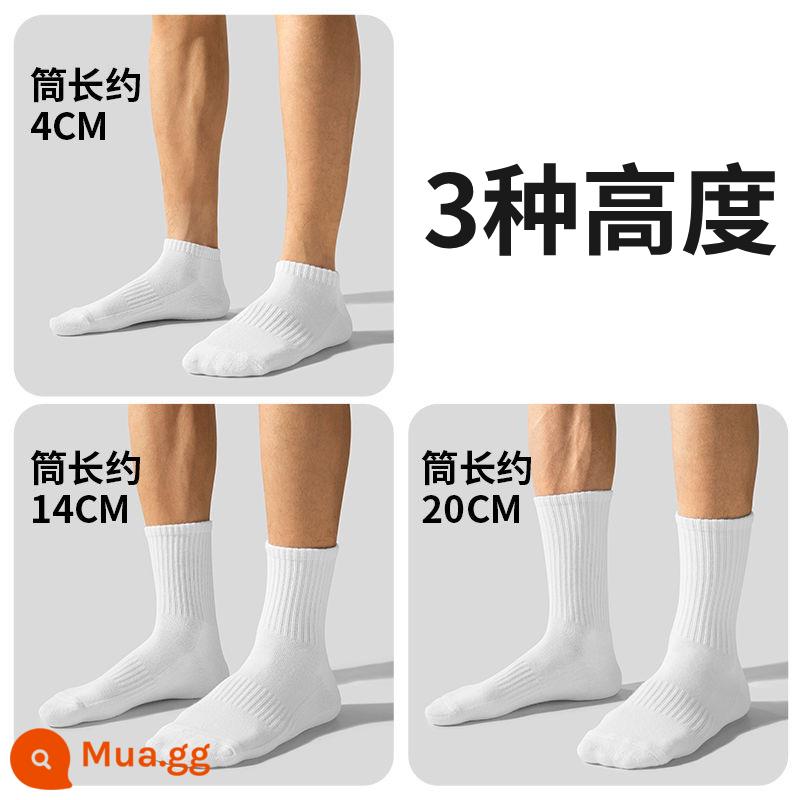 [Gửi 3 đôi cùng kiểu] 9 đôi tất cotton xuân thu Tân Cương, tất cotton nguyên chất, tất thể thao nam, tất khử mùi cho nữ - Liên hệ với bộ phận dịch vụ khách hàng hoặc đặt hàng để được ghép đôi miễn phí [7 đôi đi kèm quà tặng miễn phí]