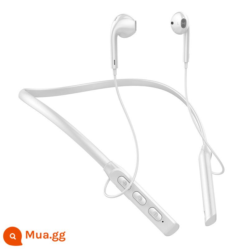 Tai nghe bluetooth đeo cổ thể thao không dây in-ear cao cấp chạy bộ nghe nhạc loại đeo cổ cho nam và nữ - Trắng [Tuổi thọ chờ siêu dài, kiểu treo cổ, thu thập em bé và được giảm giá