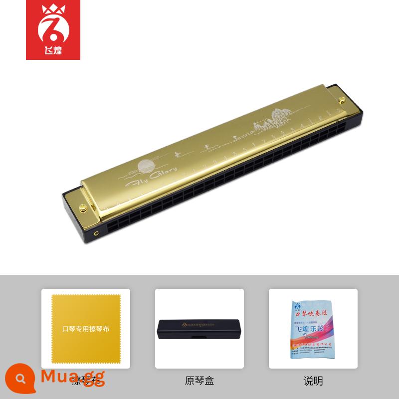 Guoguang hàng đầu cửa hàng kèn harmonica đích thực 24/28 lỗ đa âm giọng c điều chỉnh phạm vi rộng kèn harmonica cho người mới bắt đầu lối vào - Vàng đa âm 24 lỗ Feihuang [tiêu chuẩn]