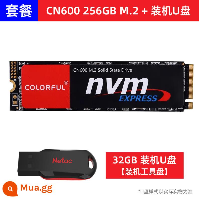 Nhiều màu sắc CN600 512G M.2 SSD máy tính để bàn NVME notebook pcie 4.0 ổ cứng thể rắn 1T - Ổ đĩa flash USB cài đặt CN600 256GB + 32GB