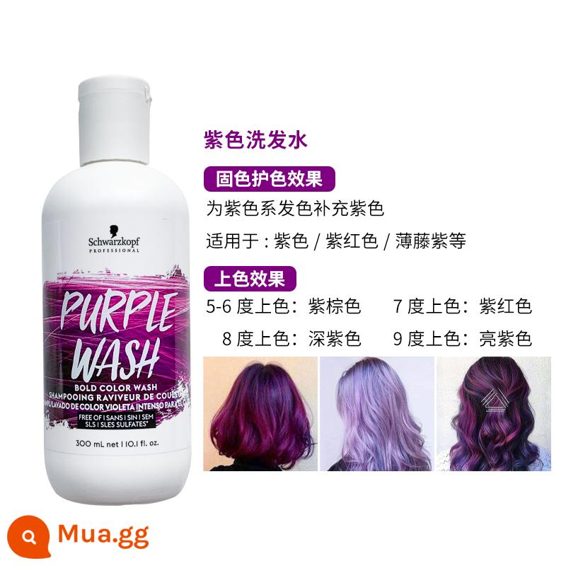 Dầu gội nhuộm màu Bonded Schwarzkopf của Đức màu xanh hồng tím màu khóa màu bổ sung màu 300ml - Tím 300ml