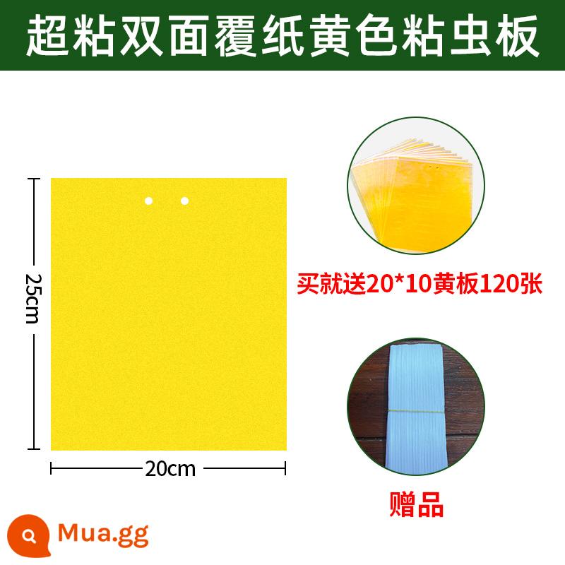 Bảng dính côn trùng Bảng màu vàng Bảng dính côn trùng hai mặt nhà kính đặc biệt bọ trĩ nhà bảng bẫy côn trùng một màu vàng và xanh sân vườn cây ăn quả - 100 tờ bảng vàng siêu dính 20*25 20 tờ, tặng kèm 120 tờ bảng vàng 20*10