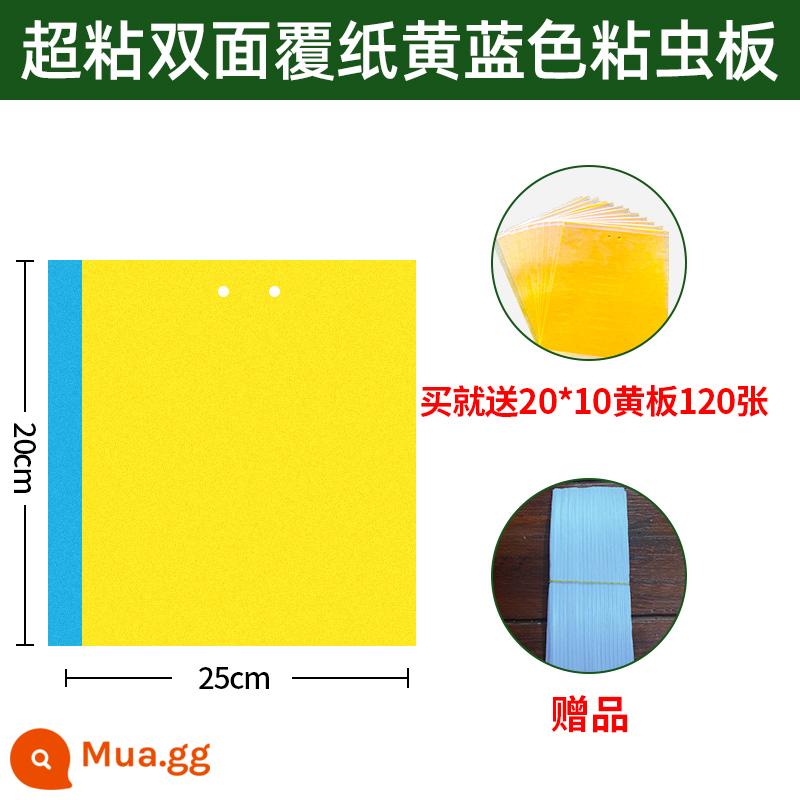 Bảng dính côn trùng Bảng màu vàng Bảng dính côn trùng hai mặt nhà kính đặc biệt bọ trĩ nhà bảng bẫy côn trùng một màu vàng và xanh sân vườn cây ăn quả - Tích hợp màu vàng và xanh 100 miếng 20*25 miễn phí 120 miếng đĩa 20*10 màu vàng