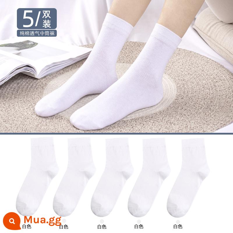 Vớ Langsha vớ ống giữa của phụ nữ mùa xuân và mùa thu vớ cotton mỏng màu đen vớ cotton nguyên chất vớ cotton ống dài mùa hè vớ mùa đông của phụ nữ - 150[5 đôi][Thu Đông] Trắng 5