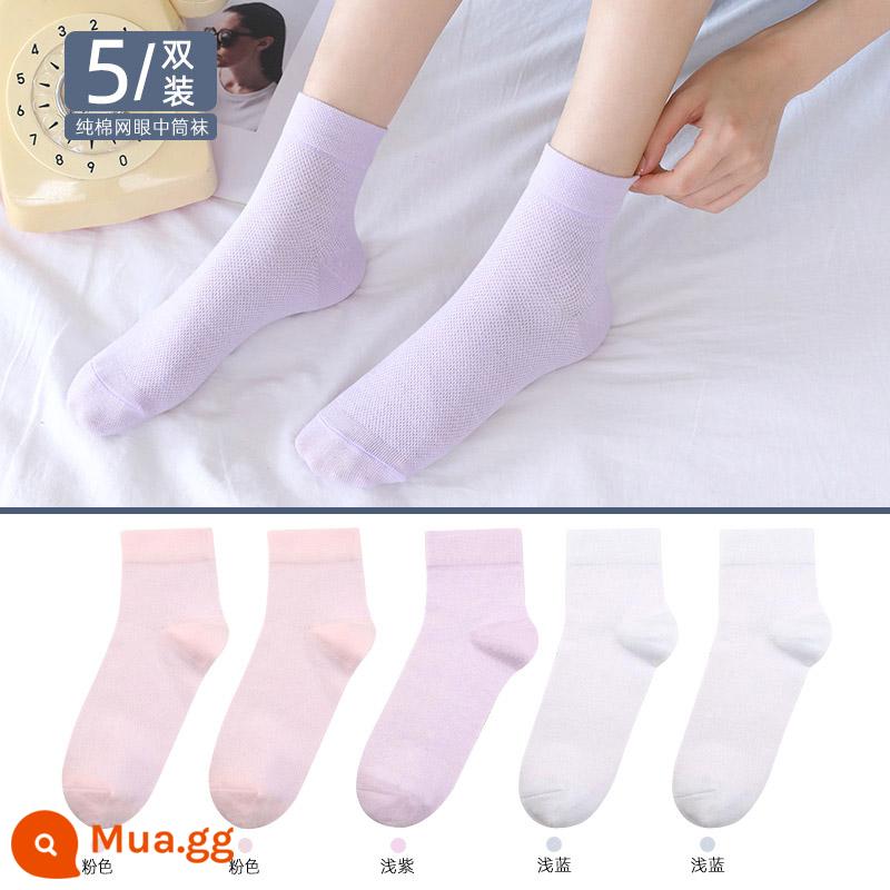 Vớ Langsha vớ ống giữa của phụ nữ mùa xuân và mùa thu vớ cotton mỏng màu đen vớ cotton nguyên chất vớ cotton ống dài mùa hè vớ mùa đông của phụ nữ - 289[5 đôi]Lưới mỏng mùa hè] Hồng nhạt 2 xanh nhạt 2 tím nhạt 1