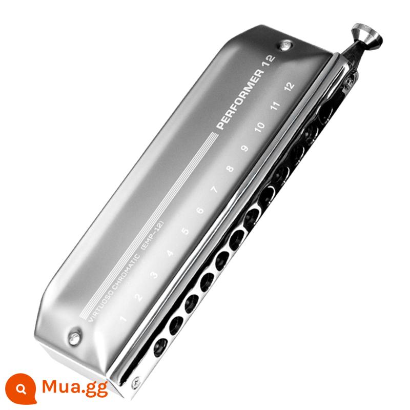 EASTTOP Oriental Ding mười lỗ 16 lỗ chơi chuyên nghiệp chromatic harmonica 12 lỗ C tone người mới trưởng thành người mới bắt đầu - Lưới nhôm chân máy Oriental 12 lỗ 48 tone C EMP-12