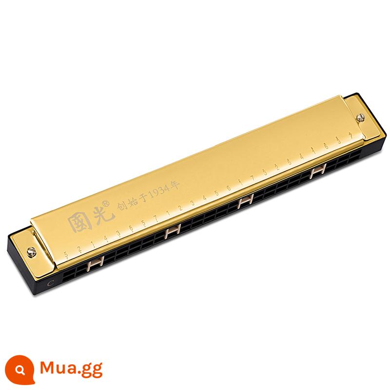 Đích thực Guoguang harmonica 24 lỗ đa âm C-tune mới bắt đầu học sinh trẻ em tự học mục cửa nhạc cụ đàn organ - Màu vàng [Đa âm C + Gói quà tặng tự học + Video hướng dẫn]