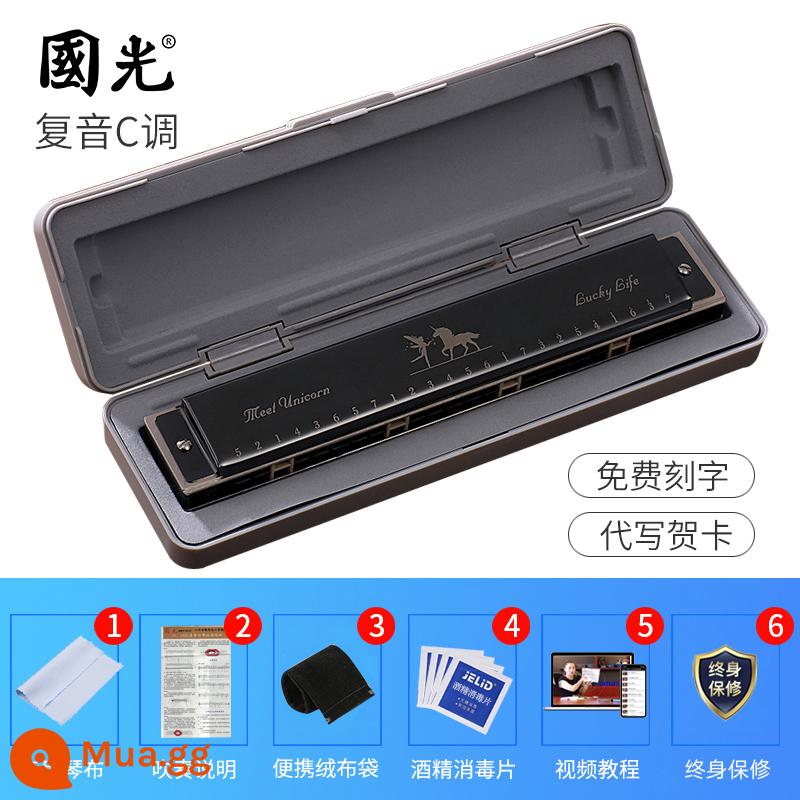 Đích thực Guoguang harmonica 24 lỗ đa âm C giai điệu người mới bắt đầu trẻ em học sinh người lớn nhập cảnh trình diễn chuyên nghiệp cao cấp - Tông C đen [khuyên dùng cho người mới bắt đầu + gói quà tự học + video hướng dẫn]