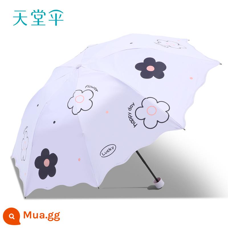 Paradise Umbrella Dù Nắng Mưa Công Dụng Kép Keo Đen Kem Chống Nắng Chống Tia UV Siêu Nhẹ Di Động Nhỏ Dù Nữ - Hoa - hồng và tím