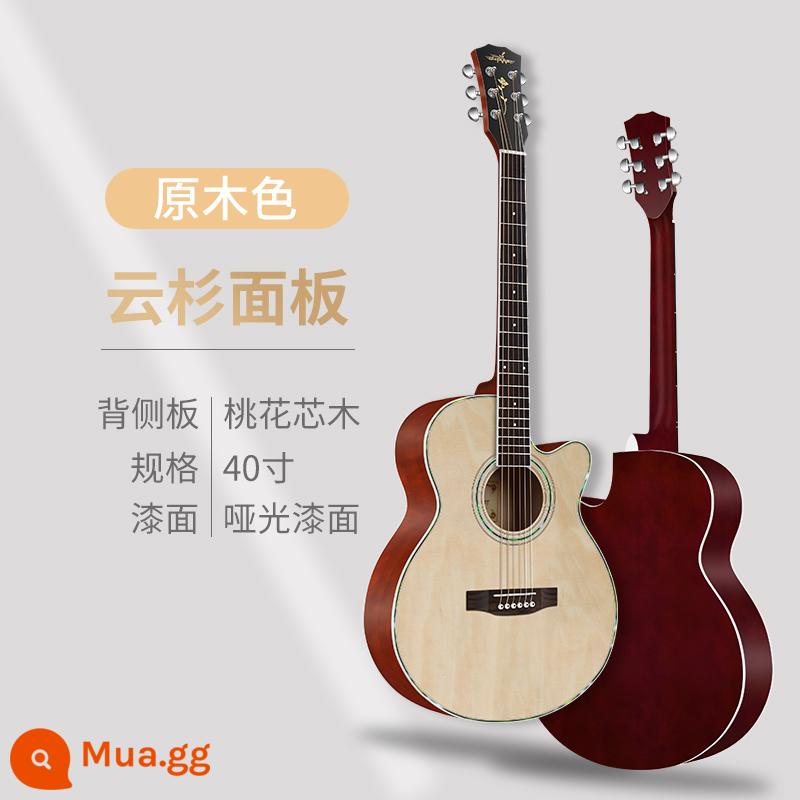 Đàn guitar acoustic một bảng 38 inch dành cho người mới bắt đầu dành cho nam và nữ đàn guitar dân gian đặc biệt 40 inch dành cho người mới bắt đầu đàn guitar đích thực - [Mẫu thông thường] Nhật ký AG 40 inch + gói + giảng dạy