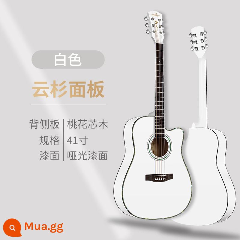 Đàn guitar acoustic một bảng 38 inch dành cho người mới bắt đầu dành cho nam và nữ đàn guitar dân gian đặc biệt 40 inch dành cho người mới bắt đầu đàn guitar đích thực - [Mẫu thông thường] AG trắng 41 inch + gói + giảng dạy