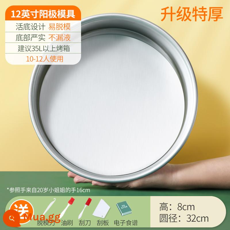 Khuôn Làm Bánh Voan Hộ Gia Đình Bộ Mousse Sống Đáy Lò Nướng Công Cụ Mài Mòn 468 6/8 Phôi 4 Inch - [9-12 người] Đáy sống cực dương 12 inch❤ cực dày + năm quà tặng tuyệt vời