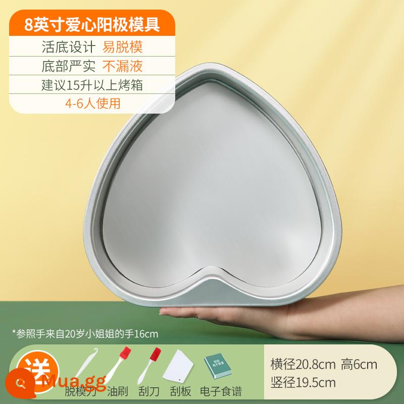 Khuôn Làm Bánh Voan Hộ Gia Đình Bộ Mousse Sống Đáy Lò Nướng Công Cụ Mài Mòn 468 6/8 Phôi 4 Inch - [Tình yêu] Đáy sống 8 inch + năm món quà tuyệt vời