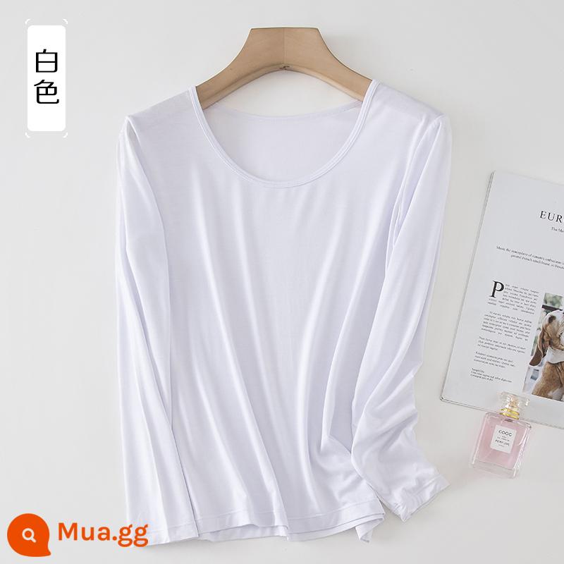 Áo sơ mi dưới phương thức phụ nữ mỏng manh -áo lót t -shirt đồ lót đơn của quần áo mùa thu mặc một chiếc áo sơ mi cổ tròn - phần mỏng màu trắng