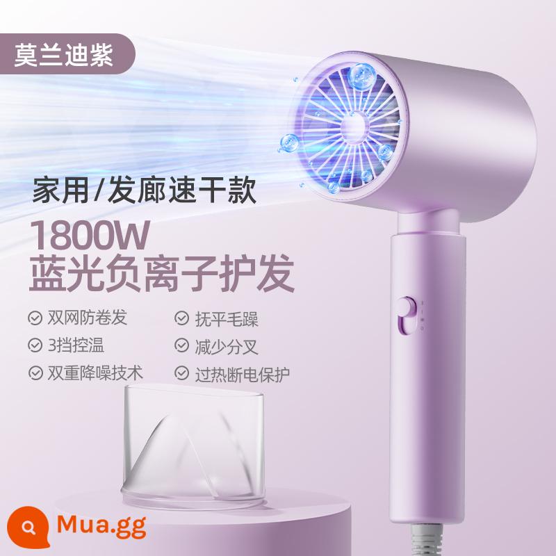 Trường trái cây SCHGUO máy sấy tóc hộ gia đình chăm sóc tóc ion âm công suất nhỏ 800W ký túc xá dành cho học sinh 500W im lặng - Lilac Purple (chăm sóc tóc ion âm ánh sáng xanh 1800w)