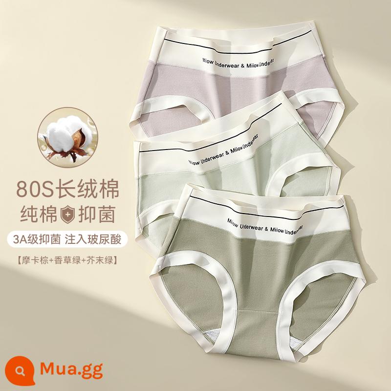 Quần lót liền quần Catman nữ cotton nguyên chất kháng khuẩn thể thao gió eo cao không hông quần đùi tam giác bé gái mới mùa hè - Nâu Mocha + xanh vani + xanh mù tạt [80% bông Tân Cương + kháng khuẩn axit hyaluronic]