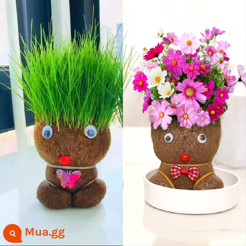 Búp bê đầu cỏ với ngọn cỏ dài trên đầu chậu cây nhỏ tưới nước cho trẻ em tóc dài trồng cỏ mẫu giáo lưới hoa đỏ - [Hoa + Cỏ] Mỗi búp bê 1 con (bao gồm 2 bình tưới + 2 khay)