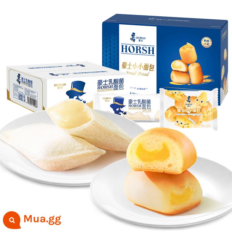 Haoshi Bánh mì nhỏ Sandwich Bánh ăn sáng Giảm cơn đói Bữa ăn nhanh Đồ ăn nhẹ Sức khỏe dinh dưỡng Đồ ăn lười FCL - 380g bánh nhỏ + 680g túi nhỏ lactobacillus [tổng cộng 2 hộp được gửi]