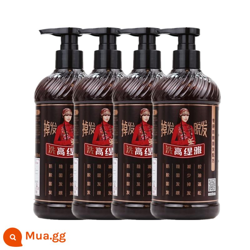 [Được khuyên dùng bởi Autumn Sister] Gautier Old Ginger King Ginger Ginger Solid Hair Chống rụng tóc Dầu gội mọc tóc Sửa chữa và kiểm soát dầu - 4 chai dầu gội [Mẫu Yang Liping, cỡ gia đình]