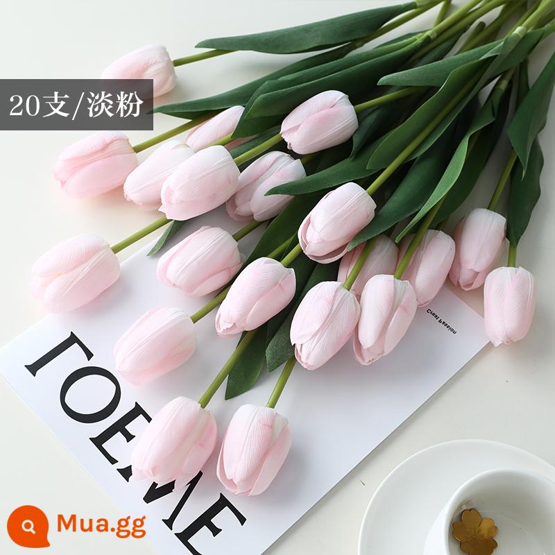 Mô Phỏng Bó Hoa Cảm Thấy Dưỡng Ẩm Tulip Cắm Hoa Cao Cấp Phòng Khách Trang Trí Bánh Cắm Hoa Giả Hoa Khô Màu Hồng - Xanh hoàng gia [20 cành hồng nhạt]