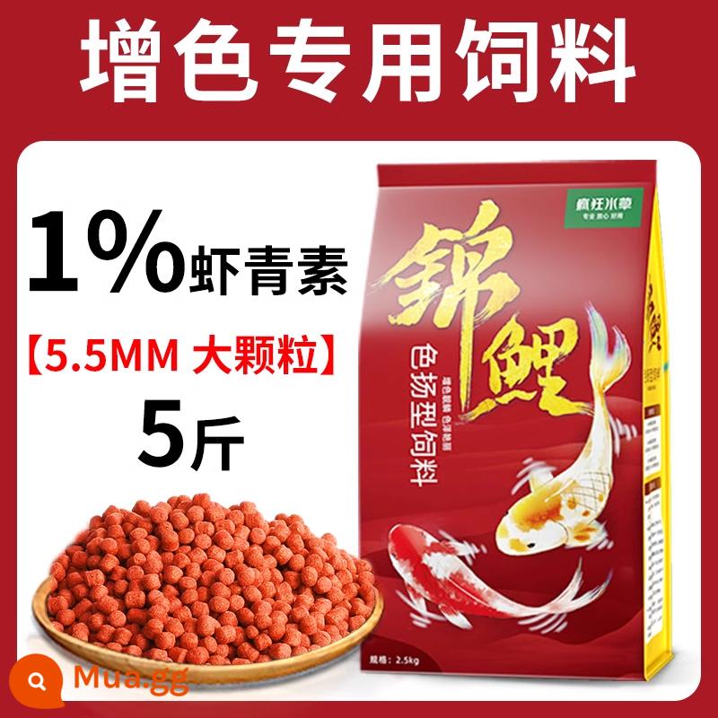 Thức ăn cho cá koi thức ăn cho cá tăng cường màu sắc cá vàng cá cảnh đặc biệt thức ăn cho cá chép thức ăn cho cá thức ăn hạt nhỏ nuôi cá koi nói chung - Thức Ăn Cá Seyang Zengyan 5.5mm 5 catties