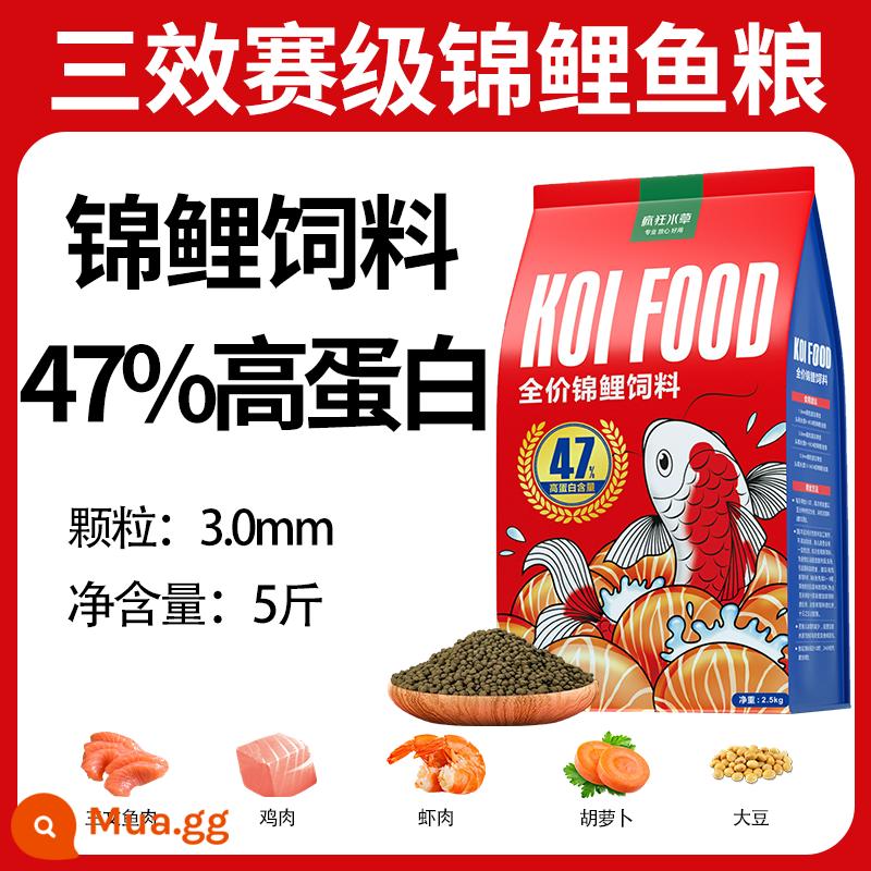 Thức ăn cho cá koi thức ăn cho cá tăng cường màu sắc cá vàng cá cảnh đặc biệt thức ăn cho cá chép thức ăn cho cá thức ăn hạt nhỏ nuôi cá koi nói chung - Thức ăn cho cá koi cấp 3 cạnh tranh 3.0mm 5 catties