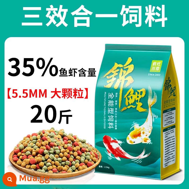 Thức ăn cho cá koi thức ăn cho cá tăng cường màu sắc cá vàng cá cảnh đặc biệt thức ăn cho cá chép thức ăn cho cá thức ăn hạt nhỏ nuôi cá koi nói chung - Thức ăn cho cá đầy đủ ba tác dụng 5,5mm 20 catties