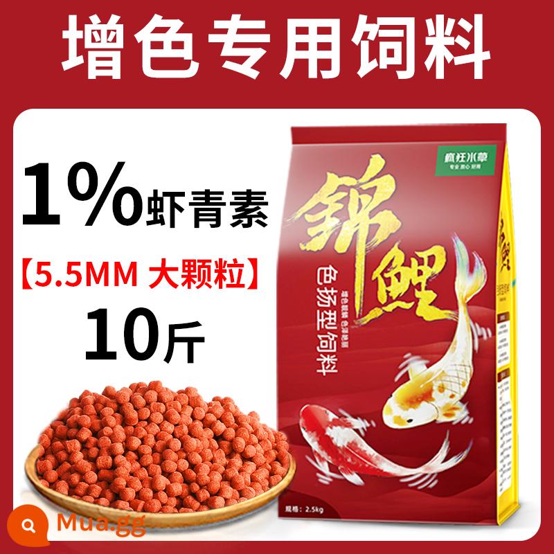 Thức ăn cho cá koi thức ăn cho cá tăng cường màu sắc cá vàng cá cảnh đặc biệt thức ăn cho cá chép thức ăn cho cá thức ăn hạt nhỏ nuôi cá koi nói chung - Thức Ăn Cá Seyang Zengyan 5.5mm 10kg