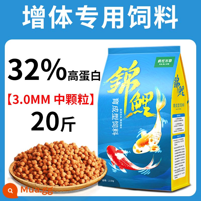 Thức ăn cho cá koi thức ăn cho cá tăng cường màu sắc cá vàng cá cảnh đặc biệt thức ăn cho cá chép thức ăn cho cá thức ăn hạt nhỏ nuôi cá koi nói chung - Thức ăn nuôi cá 3mm 20kg