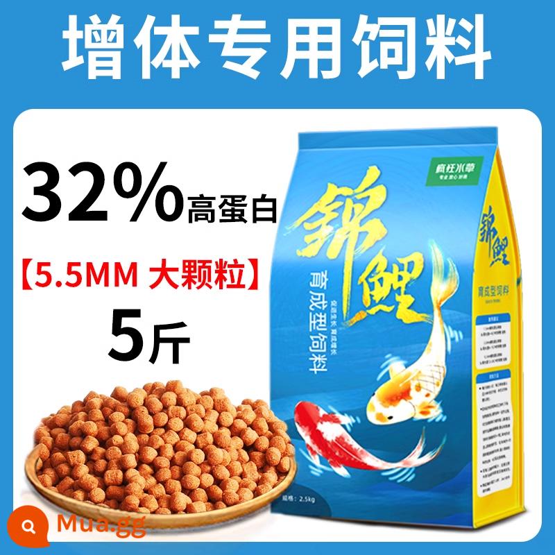 Thức ăn cho cá koi thức ăn cho cá tăng cường màu sắc cá vàng cá cảnh đặc biệt thức ăn cho cá chép thức ăn cho cá thức ăn hạt nhỏ nuôi cá koi nói chung - Thức ăn nuôi cá tăng cân 5.5mm 5 cân