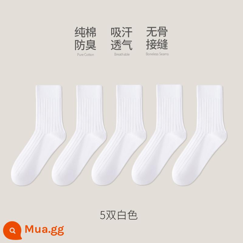 Tất cotton Tân Cương nam ống giữa cotton nguyên chất mùa đông dày dặn khử mùi ống dài kinh doanh thu đông đen cotton nam - [Thu Đông] 5 đôi trắng