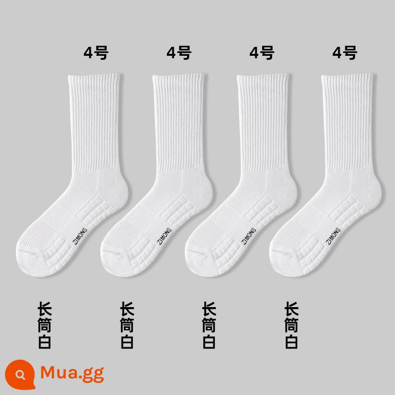 Zimo Tất Nam Thể Thao Chạy Bộ Mùa Hè Nguyên Chất Cotton Vừa Khăn Tất Bóng Rổ Vớ Ngắn Trắng Bé Trai - 4 ống dài màu trắng