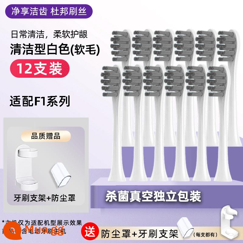 Chỉ thích hợp cho ROAMAN/Roman T40 bàn chải đánh răng điện đầu bàn chải đầu bàn chải đặc biệt đầu thay thế HT30 cẩn thận máy T40 - F1 trắng 12 miếng [Thích ứng với F1]