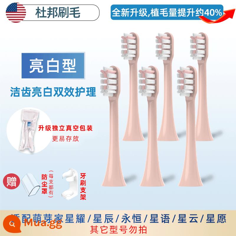 Thích hợp cho mọc răng tại nhà thay thế đầu bàn chải đánh răng điện tại nhà Xingyao Xingxing X2X3M-DW1 vĩnh cửu SJ301 - Gói 6 màu hồng trắng sáng