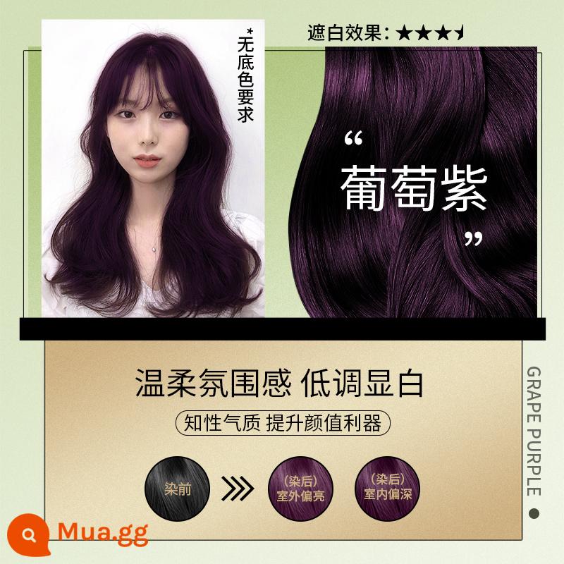 Changyi eco five beizi plant hair dye kem dưỡng tóc tại nhà để che phụ nữ da trắng 2022 màu phổ biến Hanbang - Màu tím nho [1 hộp dành cho tóc ngắn] có thể che được tóc bạc