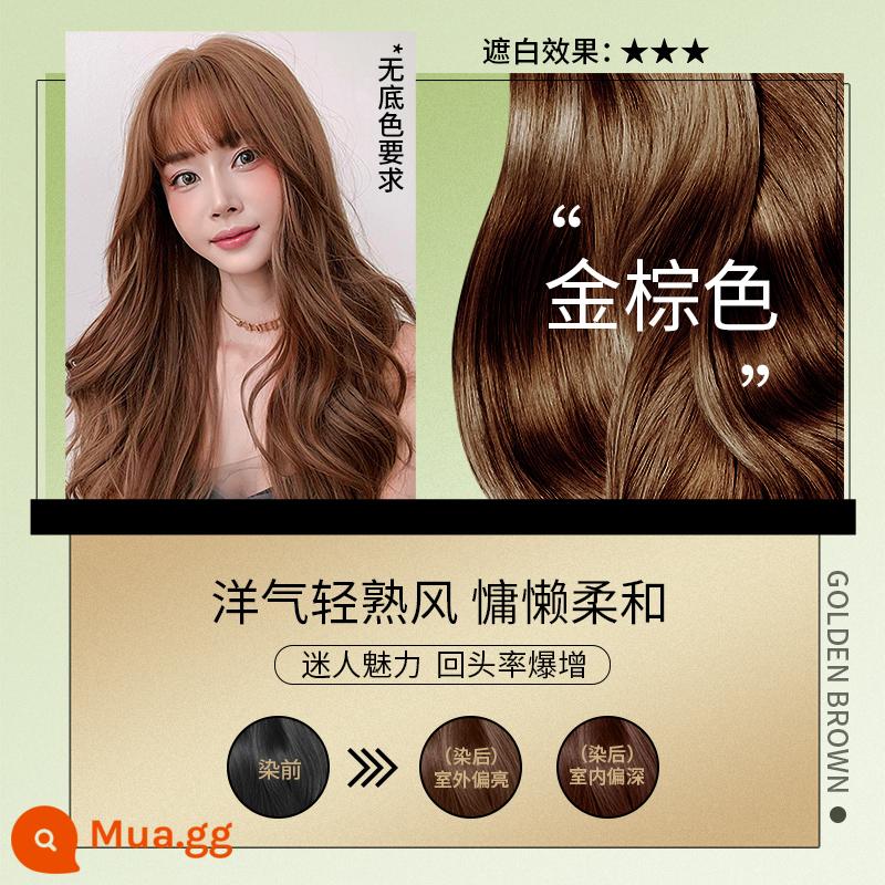 Changyi eco five beizi plant hair dye kem dưỡng tóc tại nhà để che phụ nữ da trắng 2022 màu phổ biến Hanbang - Nâu vàng [1 hộp dành cho tóc ngắn]