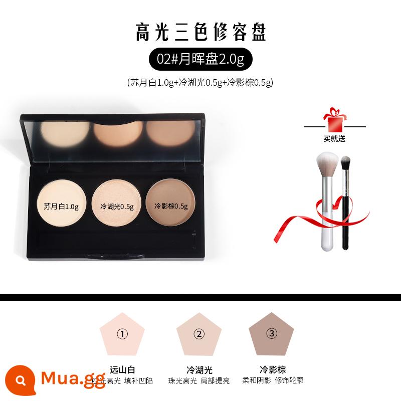 Caitang Master Repair Palette Gói dùng thử ba màu nổi bật Bảng màu tất cả trong một Bản dùng thử làm sáng màu mũi Matte Pearlescent Shadow Caitang - 02#[2g]Ba màu trong một tấm, tặng kèm 2 cọ