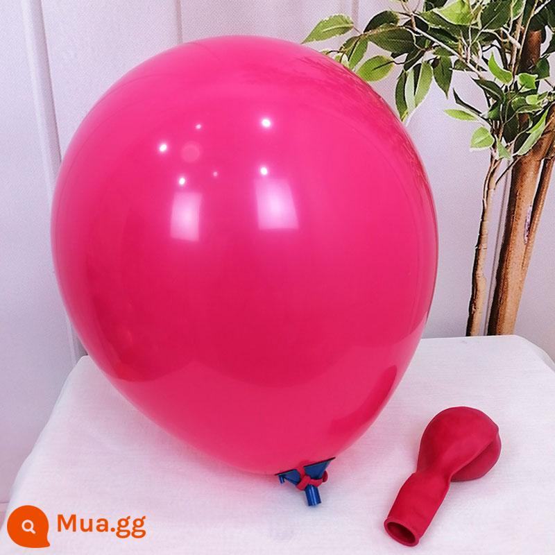 Đồ chơi trẻ em bong bóng chống cháy nổ dày 3,2 gram 12 inch trung tâm mua sắm mẫu giáo trang trí sự kiện đám cưới bố trí cảnh - Hoa hồng đỏ 3.2g 100 máy bơm không khí